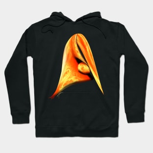 Abstract Bird Hoodie